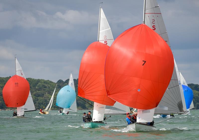 Swallows at Cowes Classic Week photo copyright Tim Jeffreys Photography taken at Royal London Yacht Club and featuring the Swallow class
