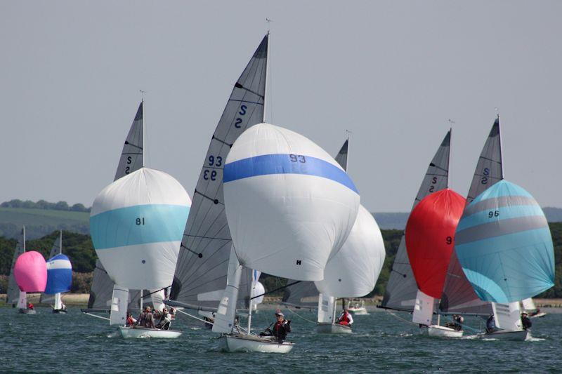 Swallow In-Harbour Championship at Itchenor for the Norman Moore Trophy - photo © Kirsty Bang