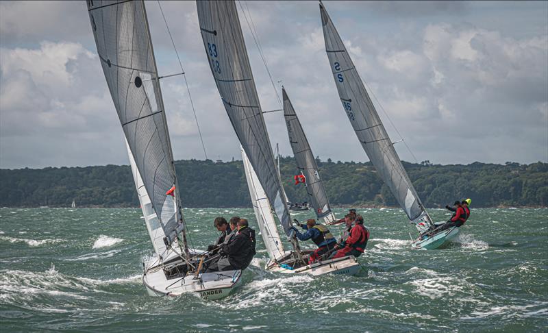 National Swallow 75th Anniversary Championship at Cowes Classics Week 2023 photo copyright Tim Jeffreys Photography taken at Royal London Yacht Club and featuring the Swallow class