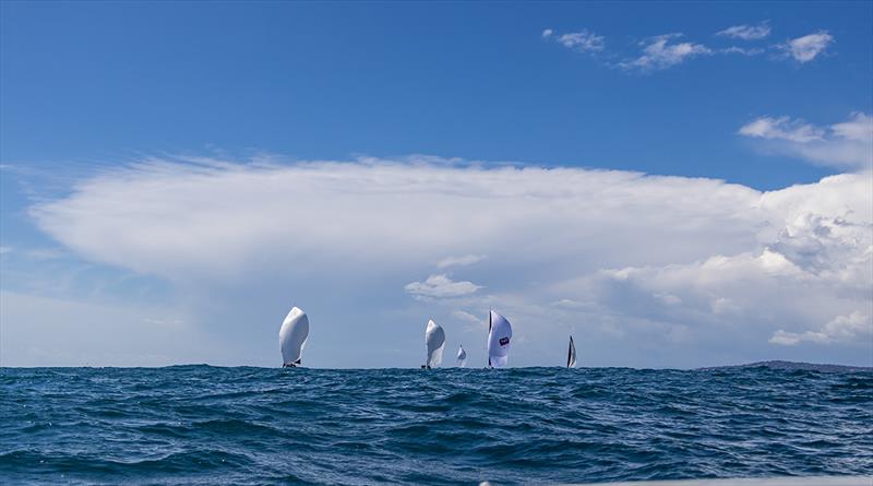 2018 Monaco Swan One Design - Day 4 photo copyright Carlo Borlenghi taken at Yacht Club de Monaco and featuring the Swan class