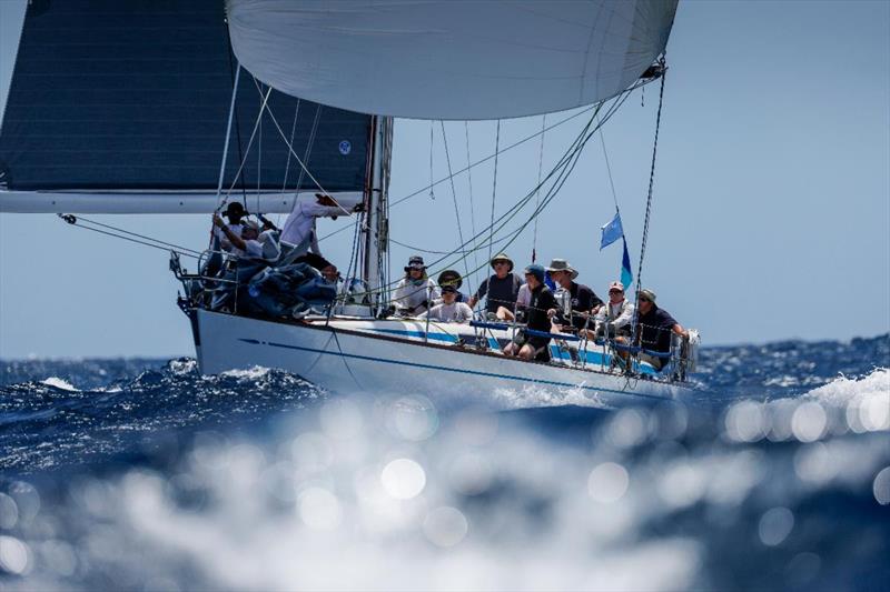 CSA 3 - Chris Wood from Brighton, Sussex will compete on his 1996 Swan 48 Assuage (GBR)  - Antigua Sailing Week 2024 photo copyright Paul Wyeth taken at Antigua Yacht Club and featuring the Swan class