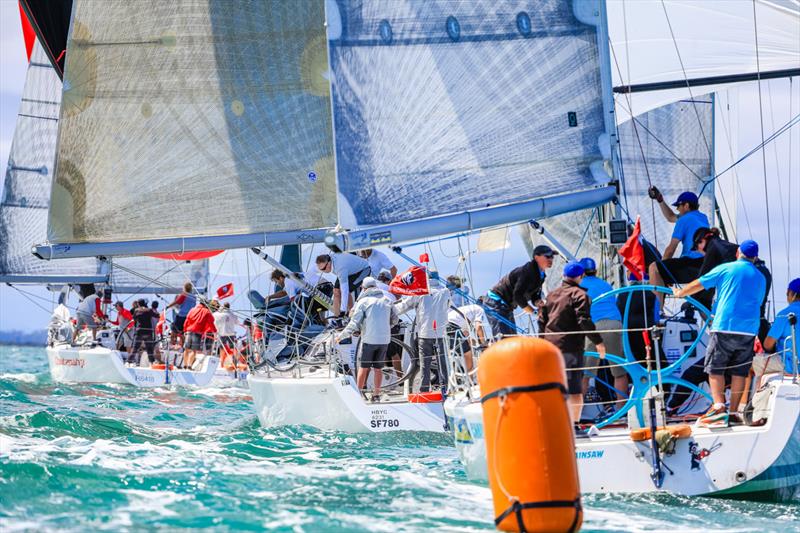 Sydney 38 racing at the Festival of Sails - photo © Craig Greenhill / Saltwater Images