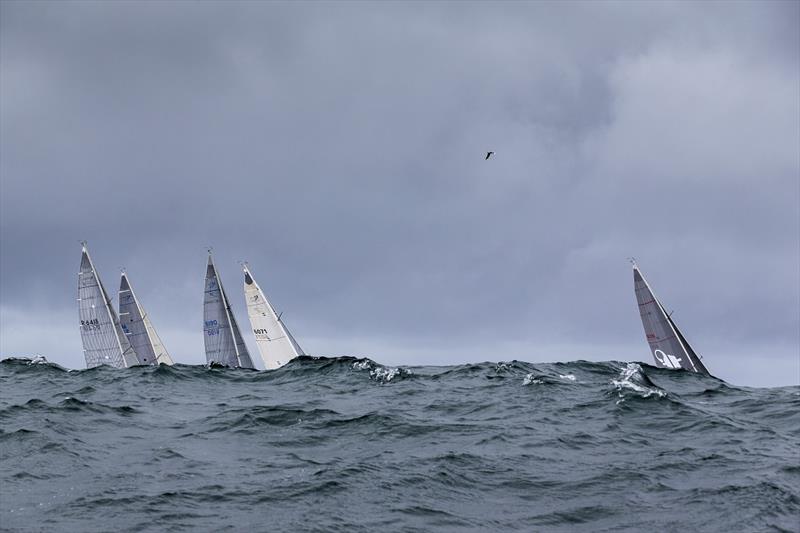 Getting a workout on day 3 of the Sydney 38 OD International Championship photo copyright Andrea Francolini taken at Middle Harbour Yacht Club and featuring the Sydney 38 class