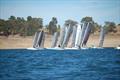 Cat fleet off the start line - Taipan State Championships © Aaron Pimm