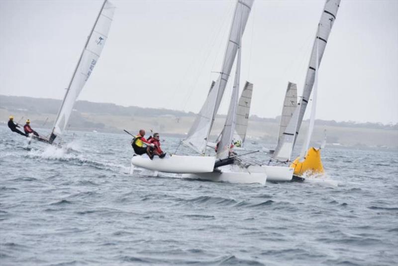 5.7 winners John Newman and Peter Bartlett - Portland EyeCare Taipan Catamaran Australian Championships 2018/19 photo copyright Mary Tulip taken at  and featuring the Taipan class