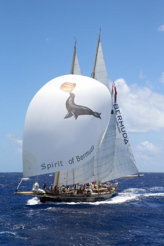 Spirit of Bermuda photo copyright Ed Gifford Photography taken at Royal Bermuda Yacht Club and featuring the Tall Ships class