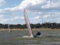 Runners-up Mark and Oliver Bulka in the Victorian Tasar State Championship 2020 © Craig Ginnivan