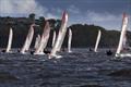© Sail Port Stephens