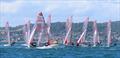 Mid fleet buoy rounding during the 48th Australian Tasar Championship at Toronto, Lake Macquarie, NSW © Michelle Havenstein