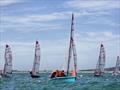 Tasar Europeans 2026 at Hythe and Saltwood Day 3 &copy; James Eberlein