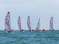 Tasar Europeans 2026 at Hythe and Saltwood Day 3 &copy; James Eberlein