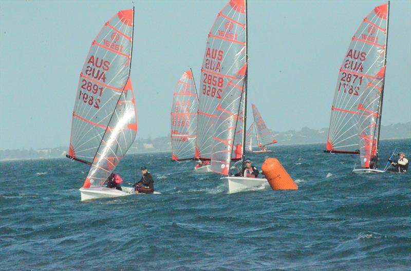 Close mark rounding for top 3 boats in heat 3 of the 2014 Ronstan Tasar Victorian Championships photo copyright Rohan Cantley Smith taken at Westernport Yacht Club and featuring the Tasar class