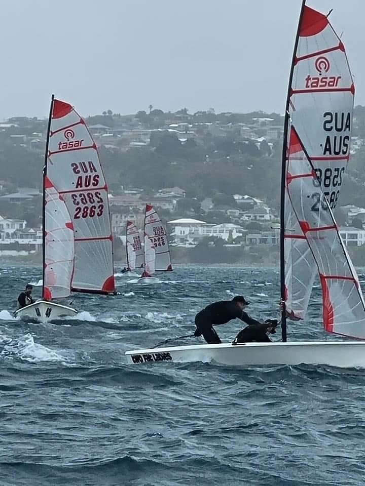 Port Lincoln local's Jack Ramsey & Rachel Stone #2863 chasing Harry Cooper & Shevaun Bruland in 'Two Fat Ladies' #2588 during the Tasar 47th Australian Nationals at Port Lincoln, SA photo copyright Richard Davidson taken at Port Lincoln Yacht Club and featuring the Tasar class