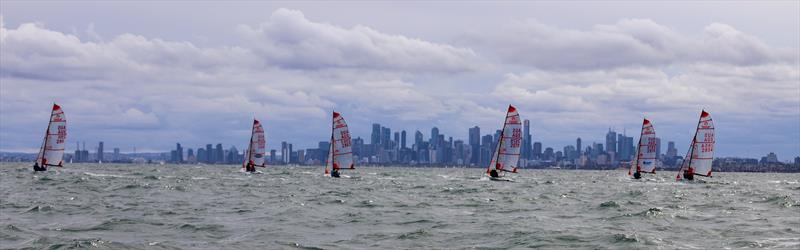 2023 Tasar Victorian State Titles - photo © Blaise Vinot