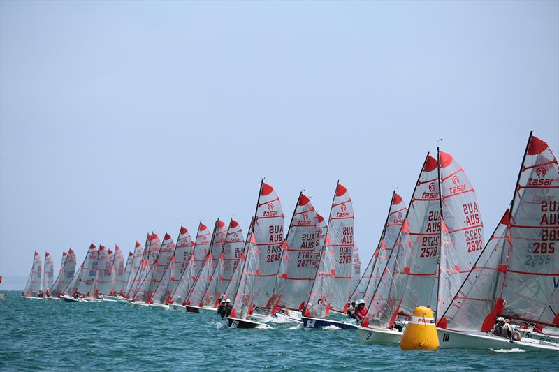 Tasar race start photo copyright Russell Bates taken at Sandringham Yacht Club and featuring the Tasar class