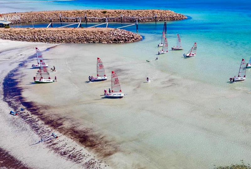 Tasar racing at Wallaroo Sailing Club - March 2024 - photo © Stuart Templeton Photography