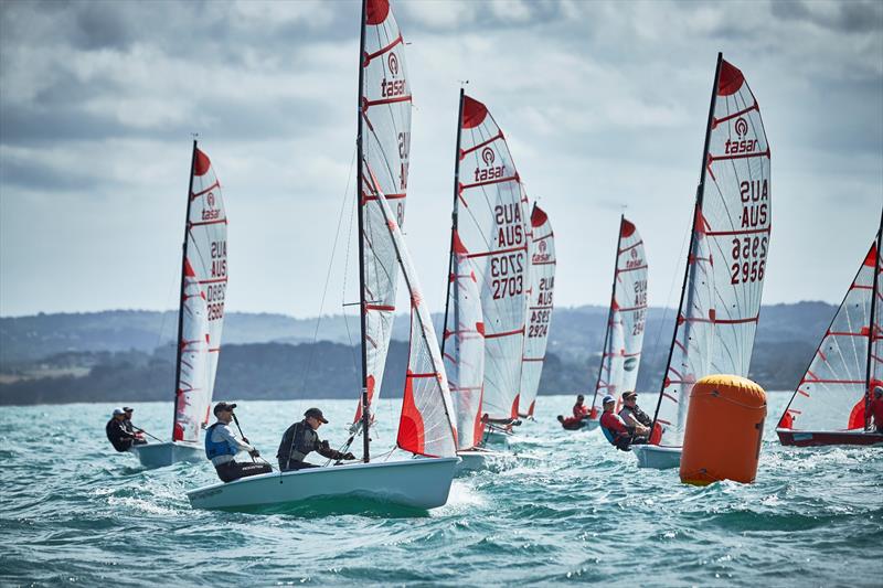 2026 Tasar World Championships - photo © Andrew Vukosav