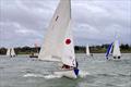 Breezy conditions for the RYA & BUSA Women's Team Racing Championships at Rutland © RYA