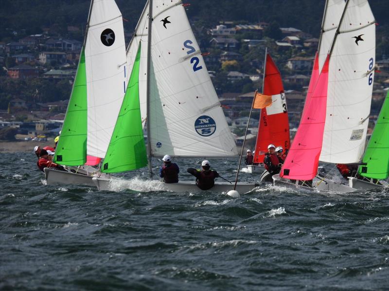Australian Secondary Schools Teams Racing Championships photo copyright Jodi Lodge taken at Sandy Bay Sailing Club and featuring the Team Racing class