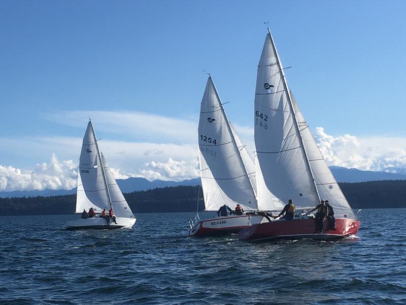 Racecourse action at the 2021 Thunderbird PNW Championship Regatta - photo © the Thunderbird Class Association
