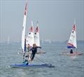 © Peter Newton Rooster Topper Worlds at Medemblik © Peter Newton