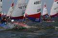 © Peter Newton Rooster Topper Worlds at Medemblik © Peter Newton