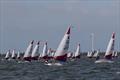 © Peter Newton Rooster Topper Worlds at Medemblik © Peter Newton