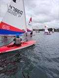 Rooster Southern Area Topper Travellers at Spinnaker © James Oborne