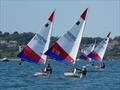 Topper South West Travellers at Castle Cove © Mark Richardson