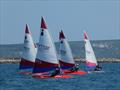 Topper South West Travellers at Castle Cove © Mark Richardson