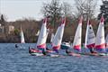 ITCA Rooster Southern Area Topper Traveller 2025 at Spinnaker © Robert Klaschka