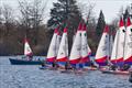 ITCA Rooster Southern Area Topper Traveller 2025 at Spinnaker © Robert Klaschka