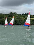 South West Topper Travellers at Dittisham © Stuart Browning