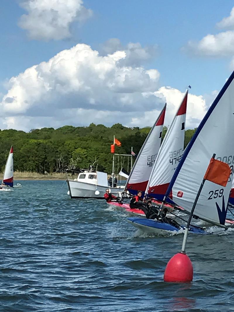 Toppers at Royal Harwich photo copyright Paul Albone taken at Royal Harwich Yacht Club and featuring the Topper class