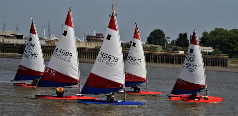 Rooster South East Topper Travellers at Greenwich photo copyright Jim Four taken at Greenwich Yacht Club and featuring the Topper class