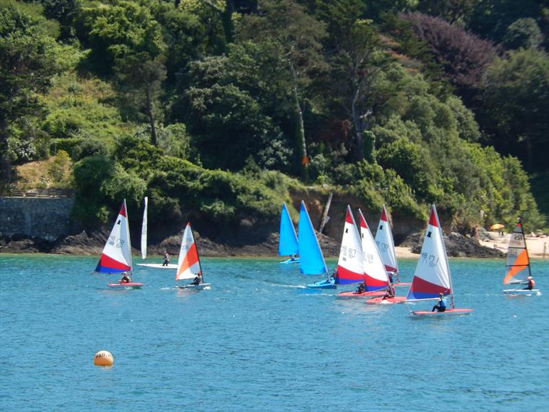 Salcombe Yacht Club Summer Series Race 5 photo copyright Margaret Mackley taken at Salcombe Yacht Club and featuring the Topper class