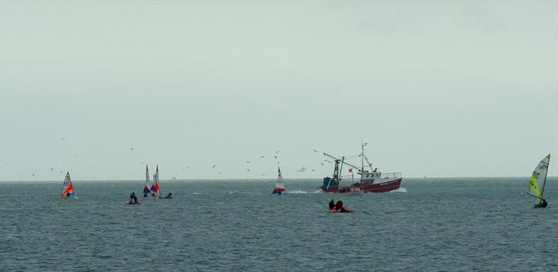 Paignton SC Christmas Cracker photo copyright Steve Cayley taken at Paignton Sailing Club and featuring the Topper class