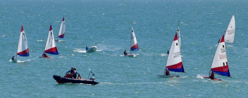 Topper Traveller and Training at Hastings - photo © Philip Blurton