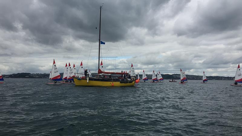 Bayside Marine Topper SW Area Championships at Brixham photo copyright Mark Smith taken at Brixham Yacht Club and featuring the Topper class