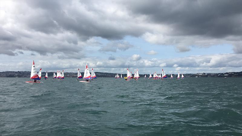 Bayside Marine Topper SW Area Championships at Brixham - photo © Mark Smith