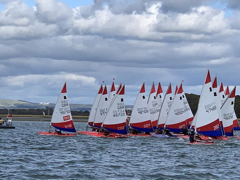 Toppers at Bosham photo copyright Sarah Shepherd taken at Bosham Sailing Club and featuring the Topper class