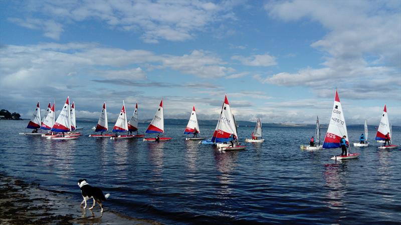 Scottish Topper Traveller at Nairn photo copyright Richard Coombs taken at Nairn Sailing Club and featuring the Topper class