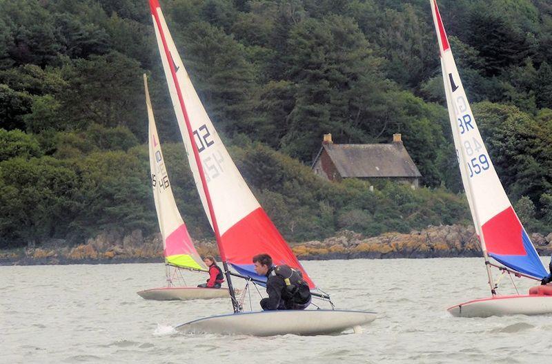 Solway Yacht Club Cadet Week 2019 photo copyright Rebecca Davison taken at Solway Yacht Club and featuring the Topper class