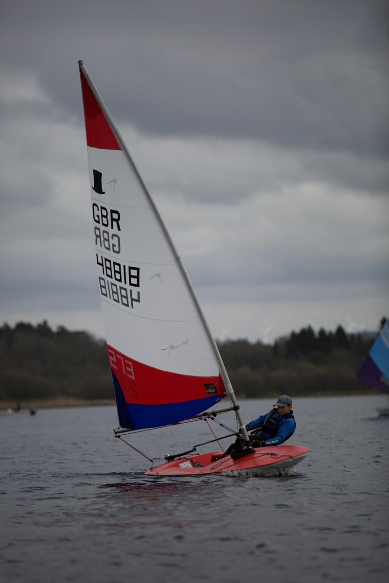 Scottish Toppers at Annandale photo copyright Stephen Hinton Smith taken at Annandale Sailing Club and featuring the Topper class