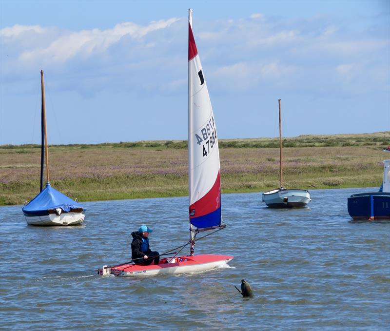 Adult and Child Race at Overy Staithe photo copyright Jennie Clark taken at Overy Staithe Sailing Club and featuring the Topper class