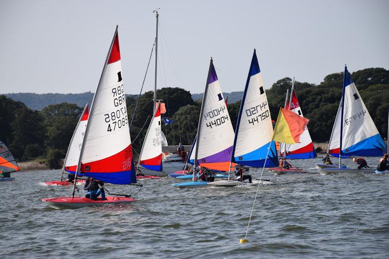 Topper open meeting at Starcross photo copyright Peter Solly taken at Starcross Yacht Club and featuring the Topper class