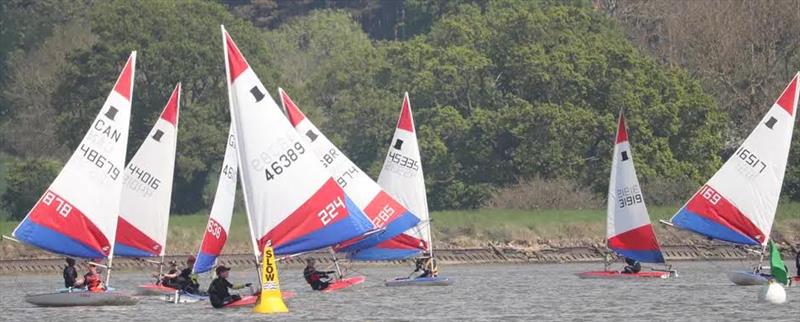 Topper open meeting at Waldringfield photo copyright Alexis Smith taken at Waldringfield Sailing Club and featuring the Topper class