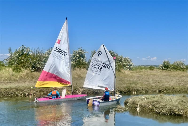 Corinthian Otters Explore Lion Creek, River Crouch - photo © Steve Hall / Steve Kimber