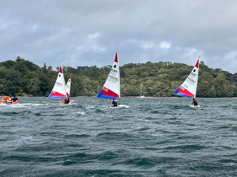 South West Topper Travellers at Dittisham photo copyright Stuart Browning taken at Dittisham Sailing Club and featuring the Topper class