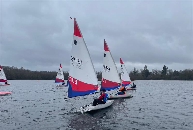 ITCA Rooster Southern Topper Traveller Spring Series - photo © Sally Wilson